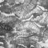 ikacc.19
