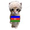 azeri20_1
