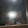 alipa_0727