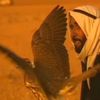 uae.uae034