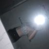 lizzy_gibson369