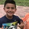 rogerlaurado_jr