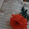 qmb_29