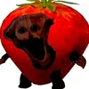 .boiledpro