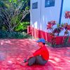 lwin.myo.htet26