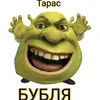tarasbubla