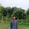 shohel.rana5305