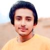 syedtuqeerhussain6