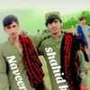 shahid.khani20