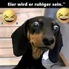 bubbelgumm4