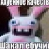 wornob_1
