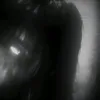veneralist
