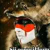 plmnb..p