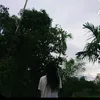 anhvy121