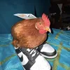 seba.to.goat