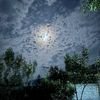 باغی او مخلص