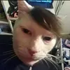 cccccc_ccc1