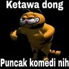 kiwi.berduri