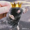 da_freakymole0