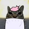 Yuki Animation ✦