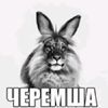 larisamikhailovna6