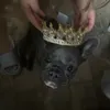 mariapwnqba