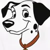 pongo301