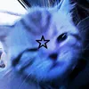 heloo._.kitty