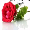 user3470691975393