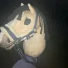 🐴🌷x.ʜxʙʙʏ.ʜxʀꜱᴇ.x🌷🐴