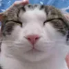 babxkot