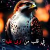user8281933388279