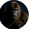bigfootvlogs702