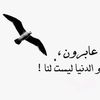 user5377325846199