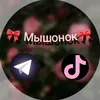 alexa_26001