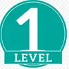 level1dm