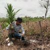 bass_farm