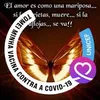 gracielaalvarez841