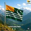 kashmi817