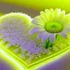 user7013054562198