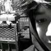 pausxx_