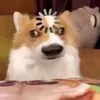 nhancac4