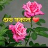 dhakarkings1