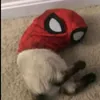 regno.dei.puffi