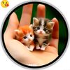 mano.billi3570