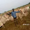mody.ly