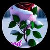 sk.emon4940
