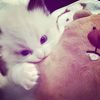 okta4a__12