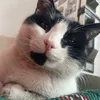 stunnywow
