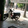 liaaleo6